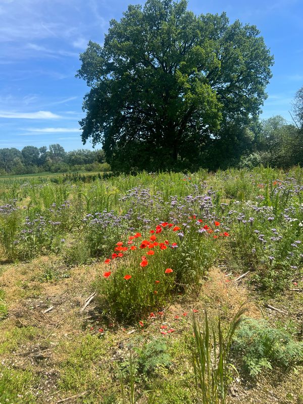 Römerstraße 7, Markt Indersdorf nach Römerstraße 7, Markt Indersdorf