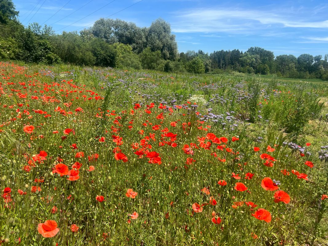 Römerstraße 7, Markt Indersdorf nach Römerstraße 7, Markt Indersdorf