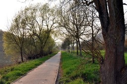 Highlight 4 along the Bikemap route "2. Mosel Bernkastel - Cochem"