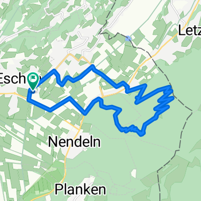 Paulahuette_Schanwald