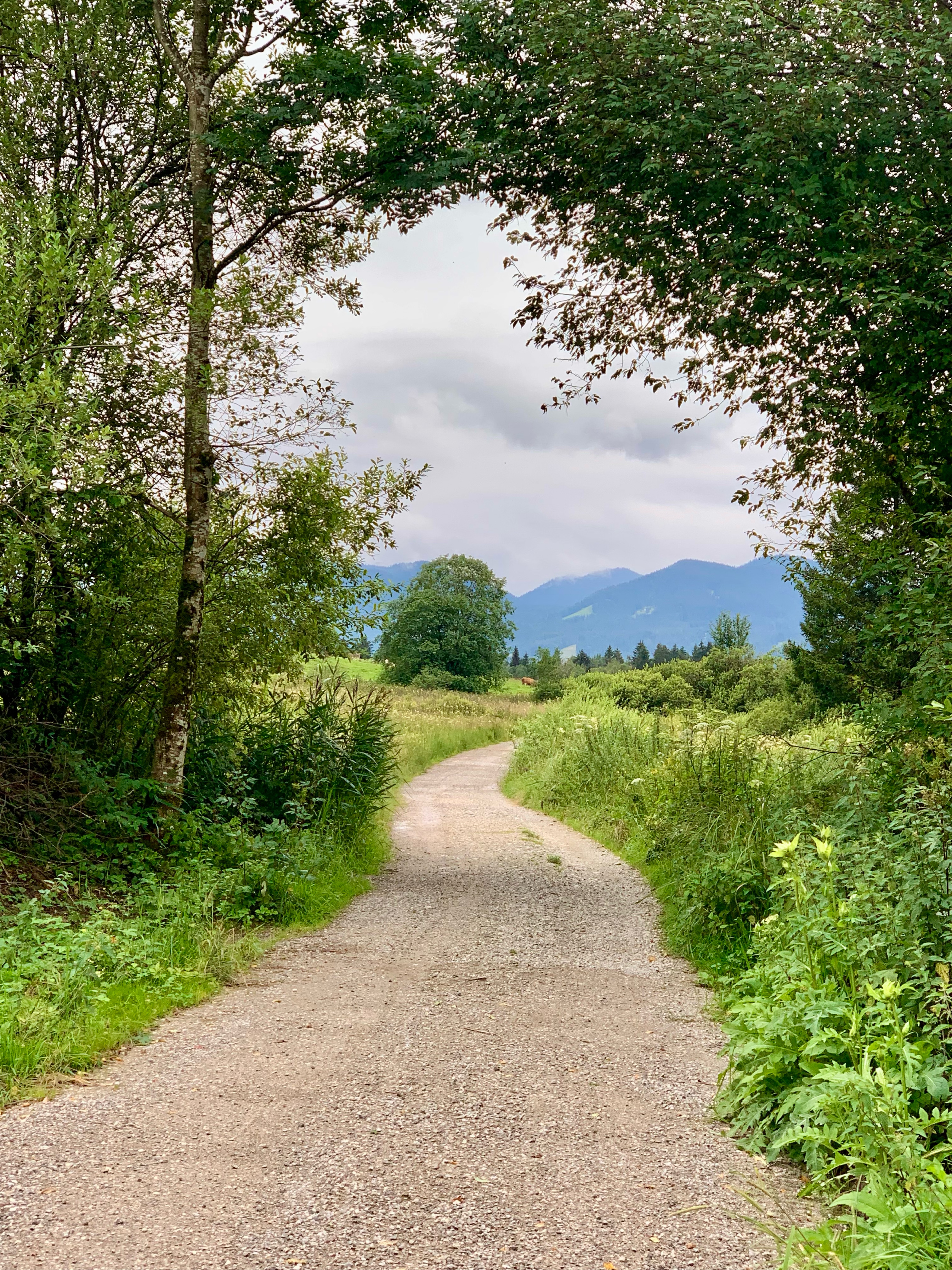 5. Siegsdorf-Bad Feilnbach-72km-800Hm