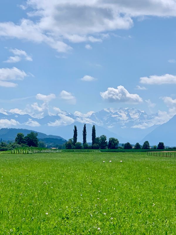14. Solothurn-Aeschi-86km-340Hm