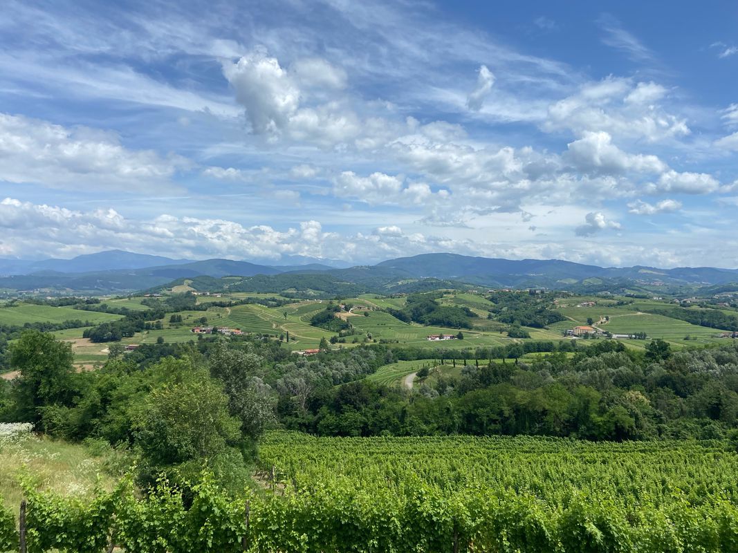 peccato che non si è registrato tutto il percorso che sono km70 e con salita di 1000 m  il (BRDA)