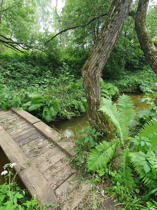 От Дарьино до Дарьино