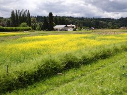 Arlington to Seattle
