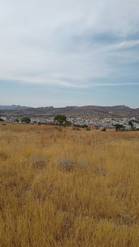 παλούκια και πίσω μας βγήκε ο πατος