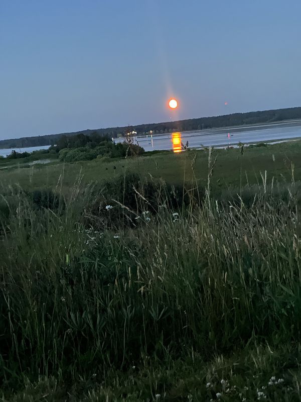 Fjugesta to Örebro