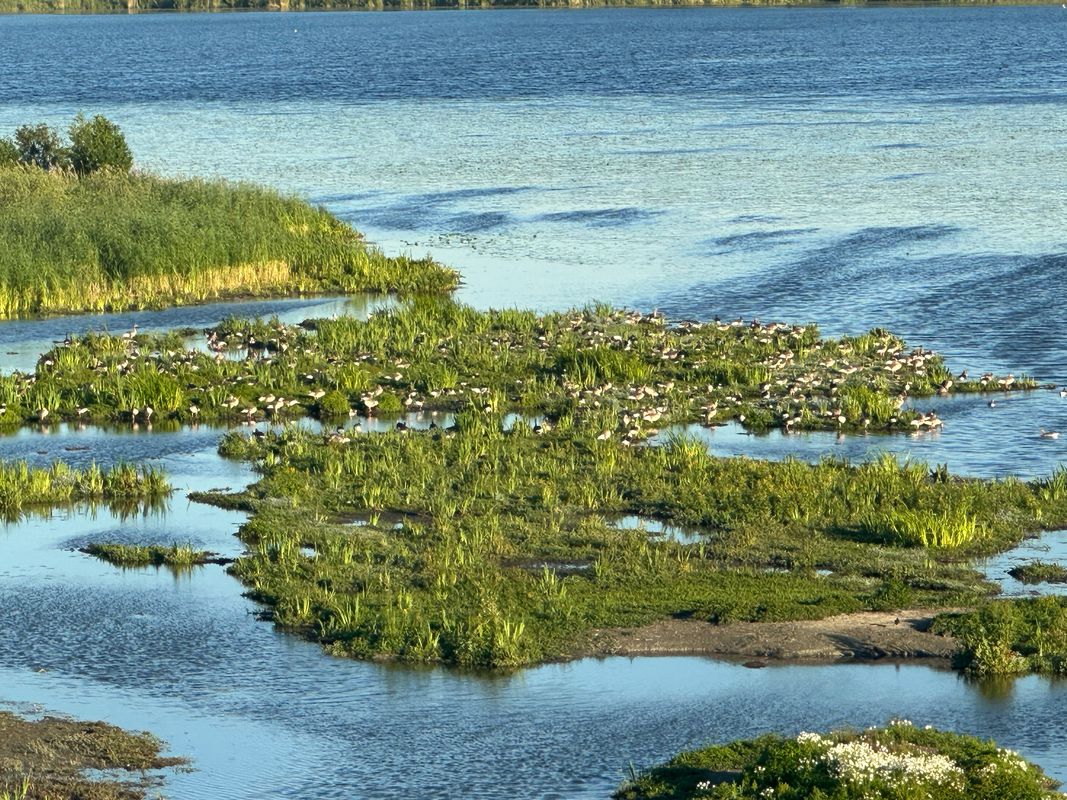 Örebro to Asköviken