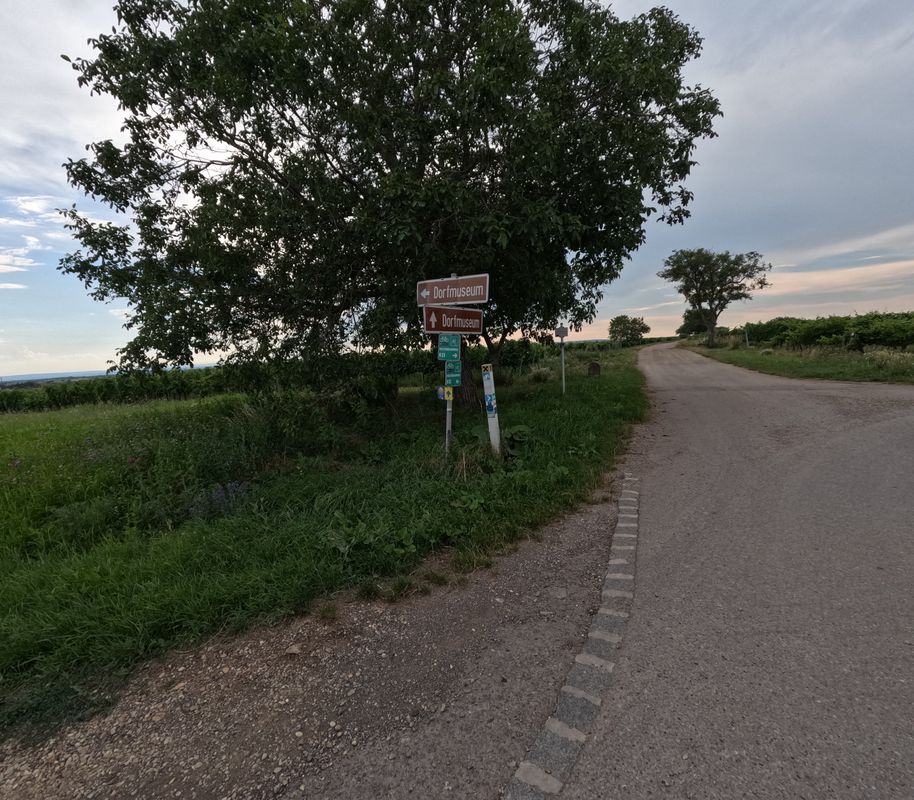 Halbturn nach Neusiedl am See. 🚴‍♂️🚴