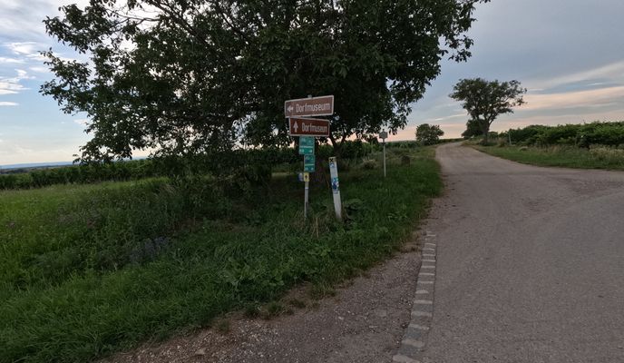 Photo 2 of the Bikemap route "Halbturn nach Neusiedl am See. 🚴‍♂️🚴"