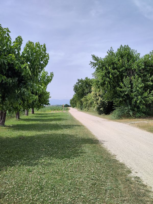 Alpe Adria #2 Gravel: Moggio Udinese - Lauzacco
