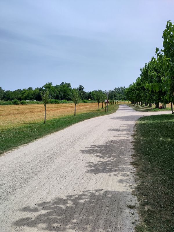 Alpe Adria #2 Gravel: Moggio Udinese - Lauzacco