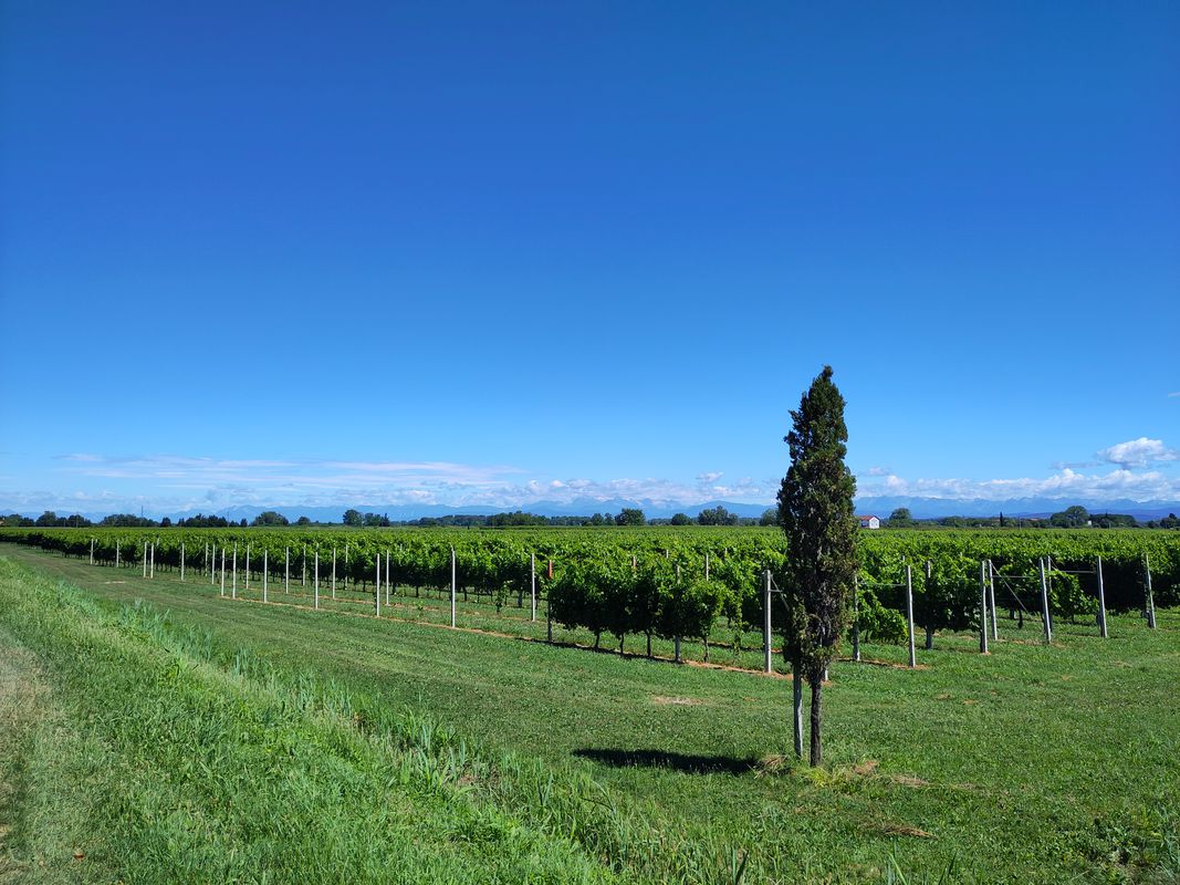 Graveln mit Meerblick Casa Bea Fossalon di Grado
