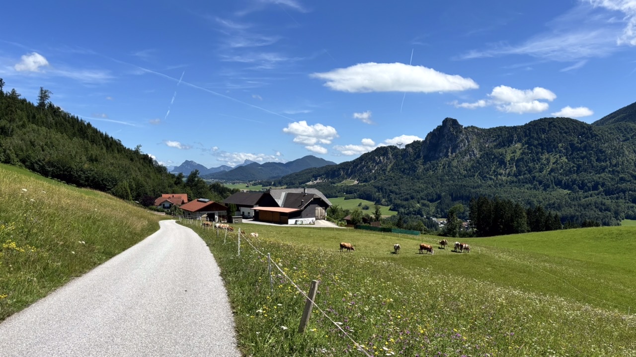 Salzburg | rund um den Heuberg
