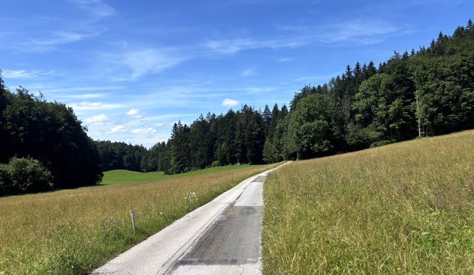 Foto 2 der Bikemap-Route "Salzburg | rund um den Heuberg"