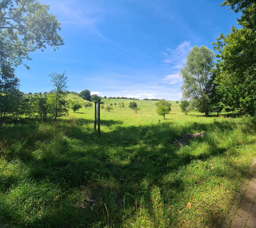 Schwedt - Gartz - Mescherin (06.07.2024)