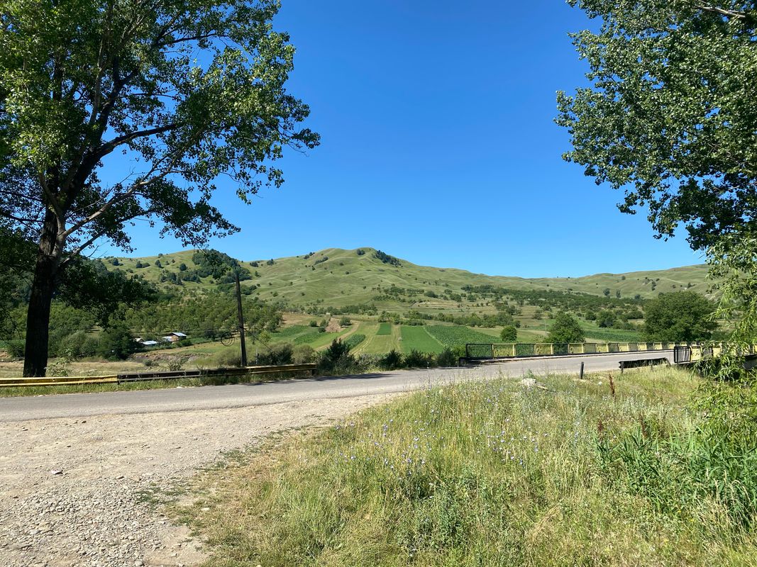 Calea Mihai Viteazu, Nehoiu to Strada Culturii, Vernesti