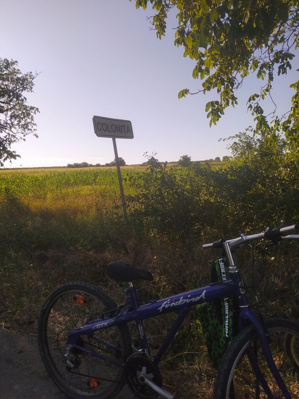 Легкая езда