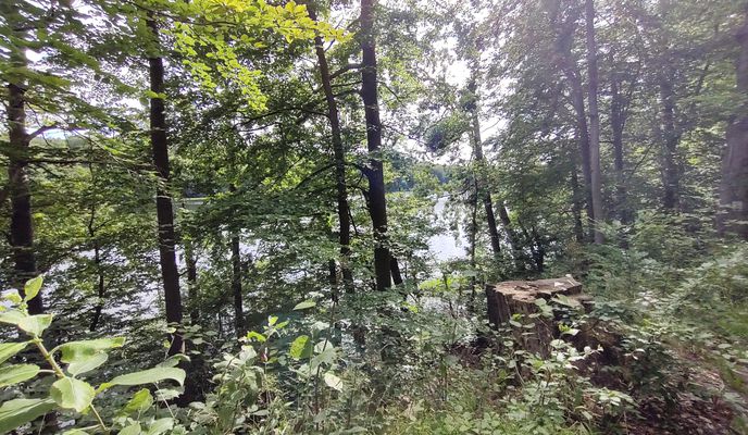 Foto 2 de la ruta de Bikemap "I z jeziora do domu"