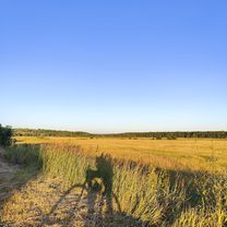 Photo 8 of the Bikemap route "От Красная улица 104а, Льгов до улица Льва Толстого 39, Льгов"