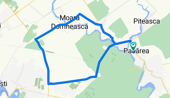 Tura usoara Pasarea