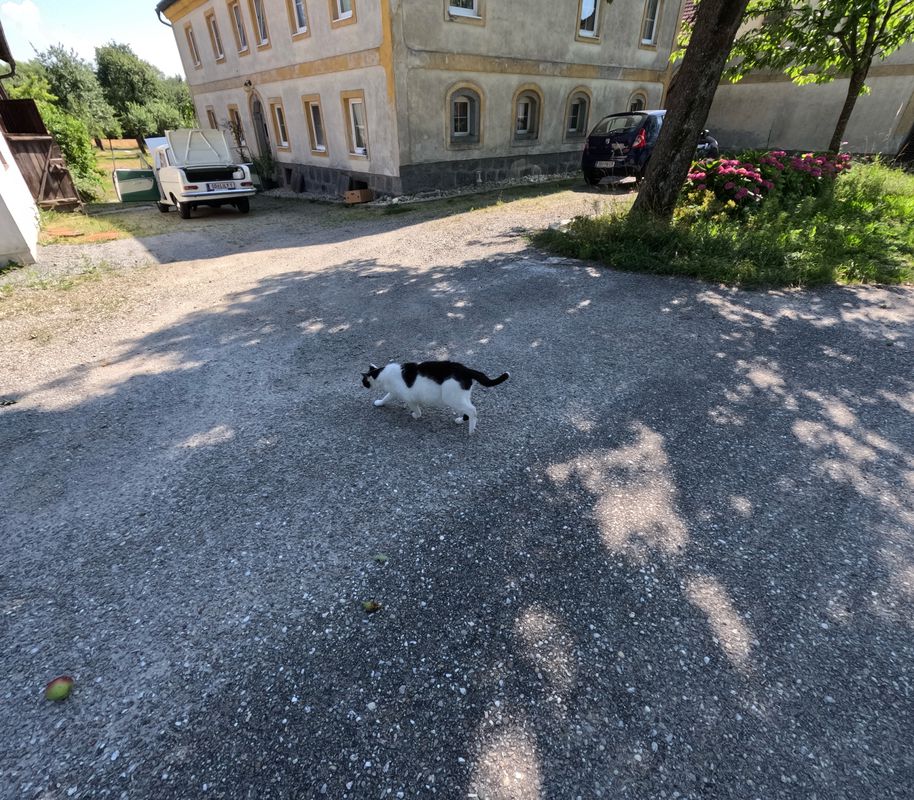 Pram - Taufkirchen an der Trattnach - Zell an der Pram.  🚴♂️🚴