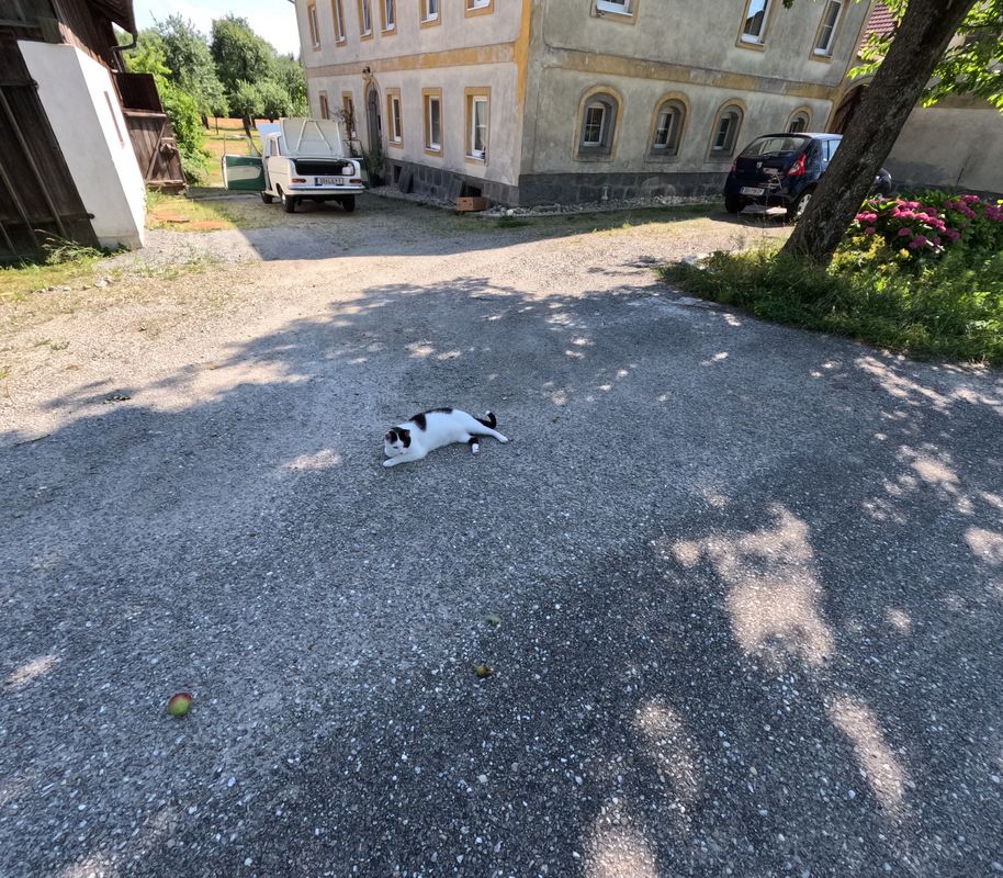 Pram - Taufkirchen an der Trattnach - Zell an der Pram.  🚴♂️🚴