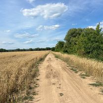 Photo 7 of the Bikemap route "Звенигород 2024"