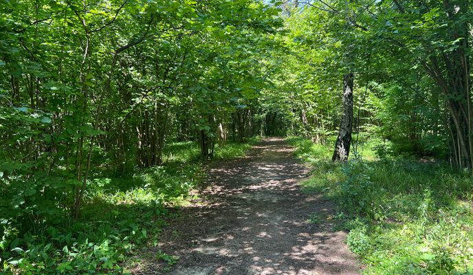Photo 1 of the Bikemap route "Звенигород 2024"