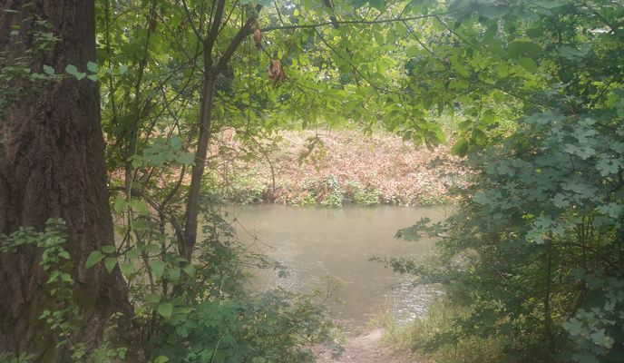 Foto 1 de la ruta de Bikemap "Von Schwechat Au zu Triesting Au und retour ueber Moedling Bach"