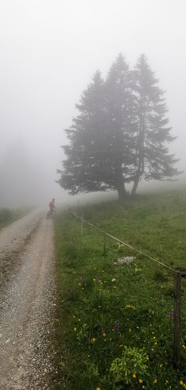 Ehenbichl Cycling