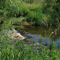 Dötlingen, Wildeshausen und schön zurück