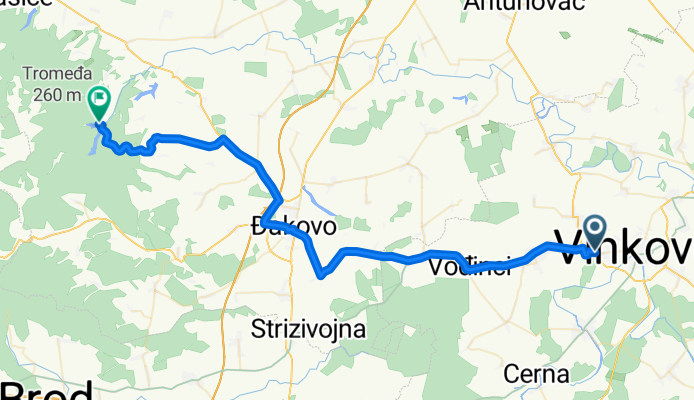 vk-borovik
