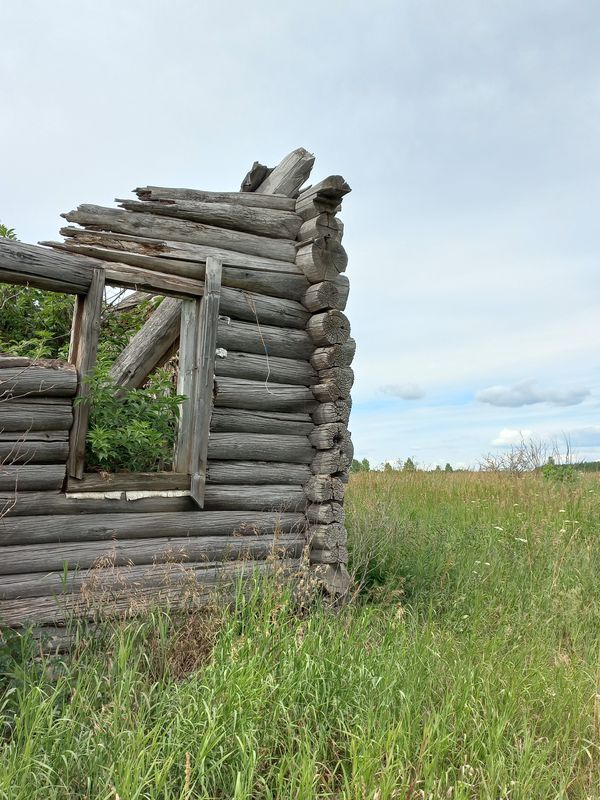 Никольск - Кивлей МЫ ВИДЕЛИ МЕДВЕДЯ