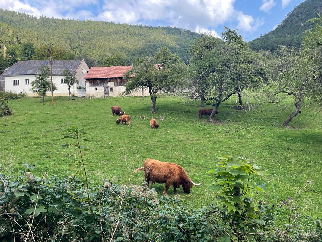 Marias Land Loop - Kurz