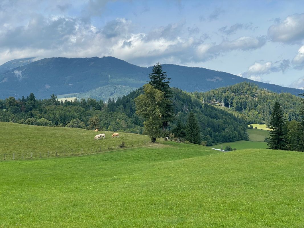 Marias Land Loop - Kurz