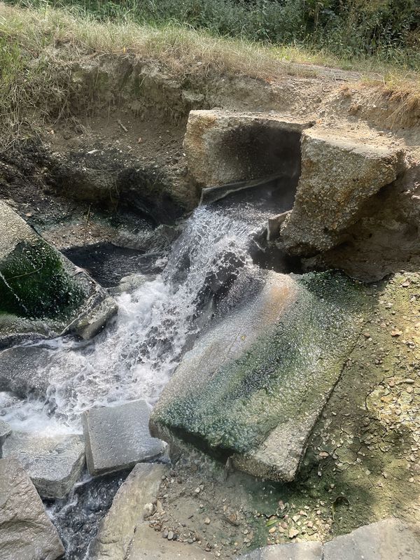 Košúty 215, Košúty až Košúty 674, Košúty
