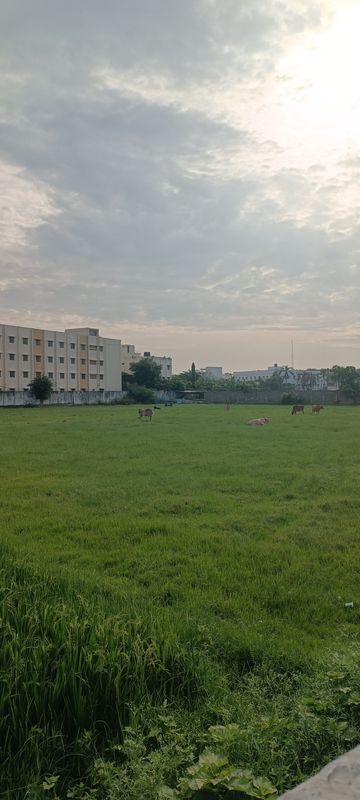 Route to V4QM+59G, Chennai