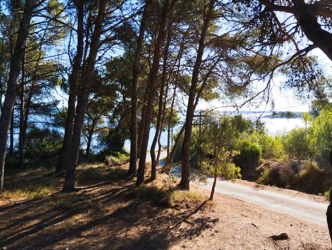 découverte de la nature environnante