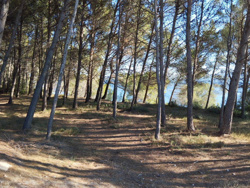 découverte de la nature environnante