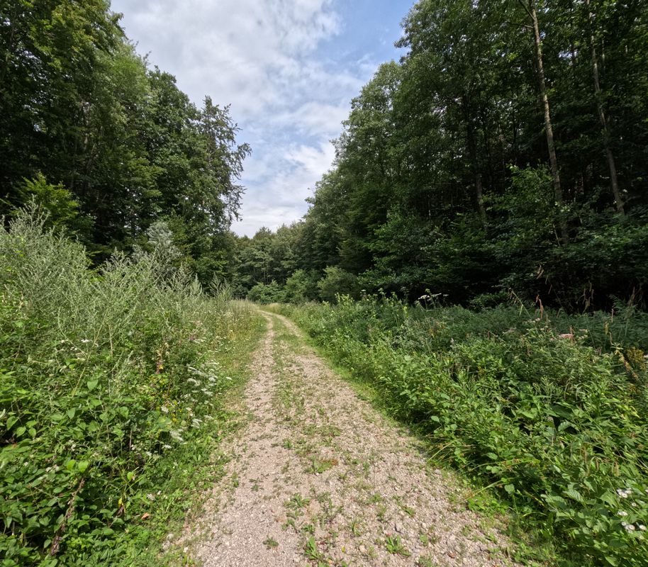 Laab im Walde - Gruberau Runde 🚴‍♂️🚴. Teil 1