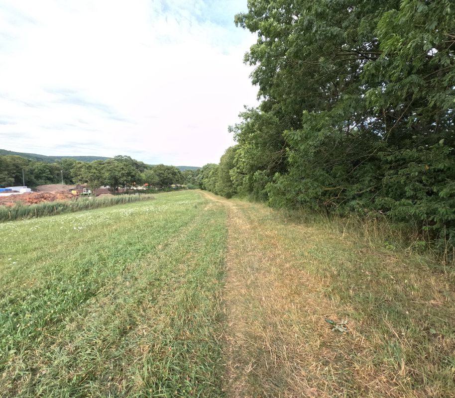 Laab im Walde - Gruberau Runde 🚴‍♂️🚴.  Teil 2