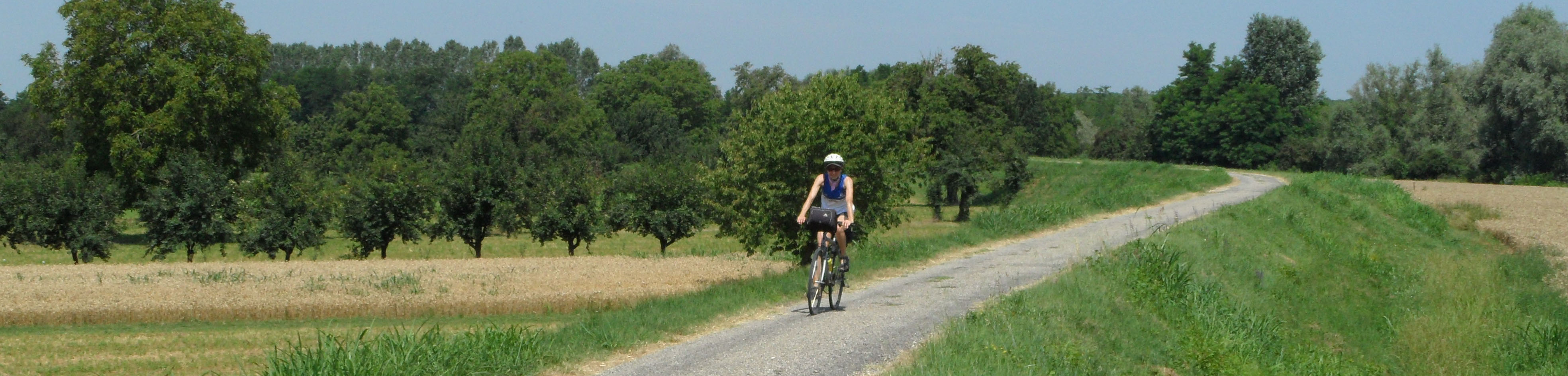 Hebe Bild 4 entlang der Bikemap-Route "AA6 anello Parma- Brescello-Colorno" hervor