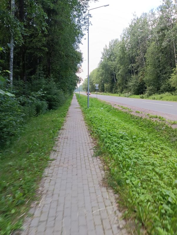 От Огородная улица 7, Гатчина до улица Перегудова 15, Гатчина