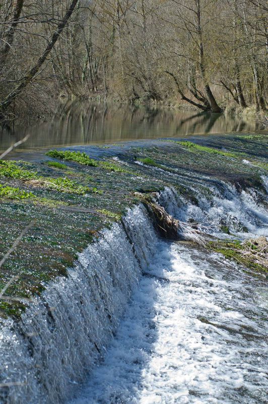 Vasco Navarro Vitoria-Gasteiz/Acedo