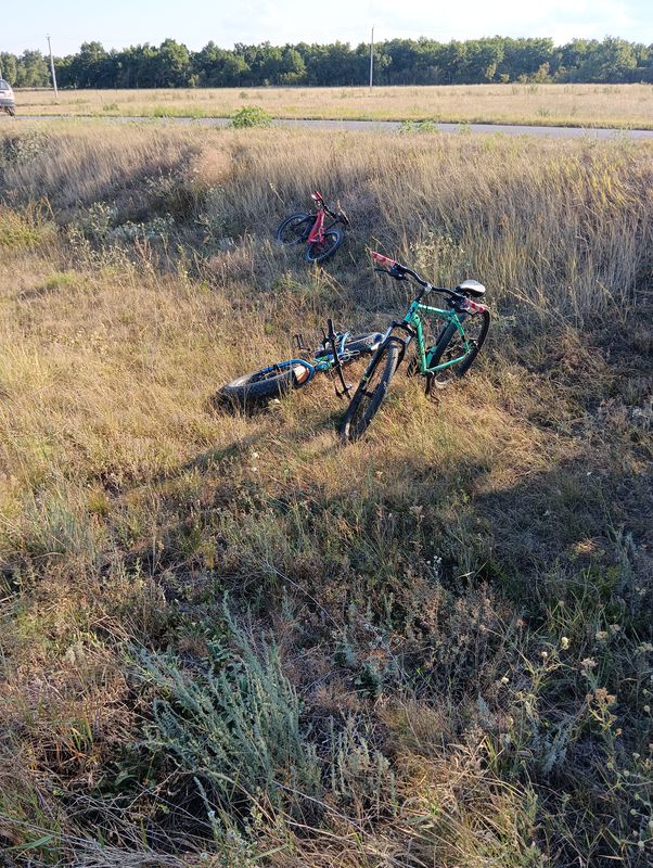 От Неизвестная дорога до Неизвестная дорога, Сосновка