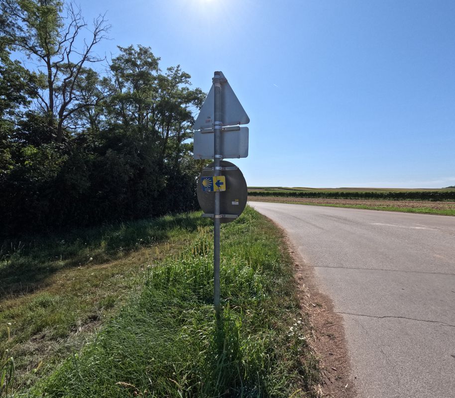 Zurndorf-Nickelsdorf-Schloß Halbthurn-Gols-Weiden.  🚴‍♂️🚴