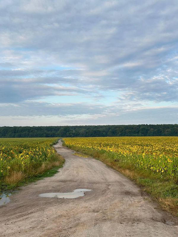 Іванів - Вінниця - Печери - Забужжя