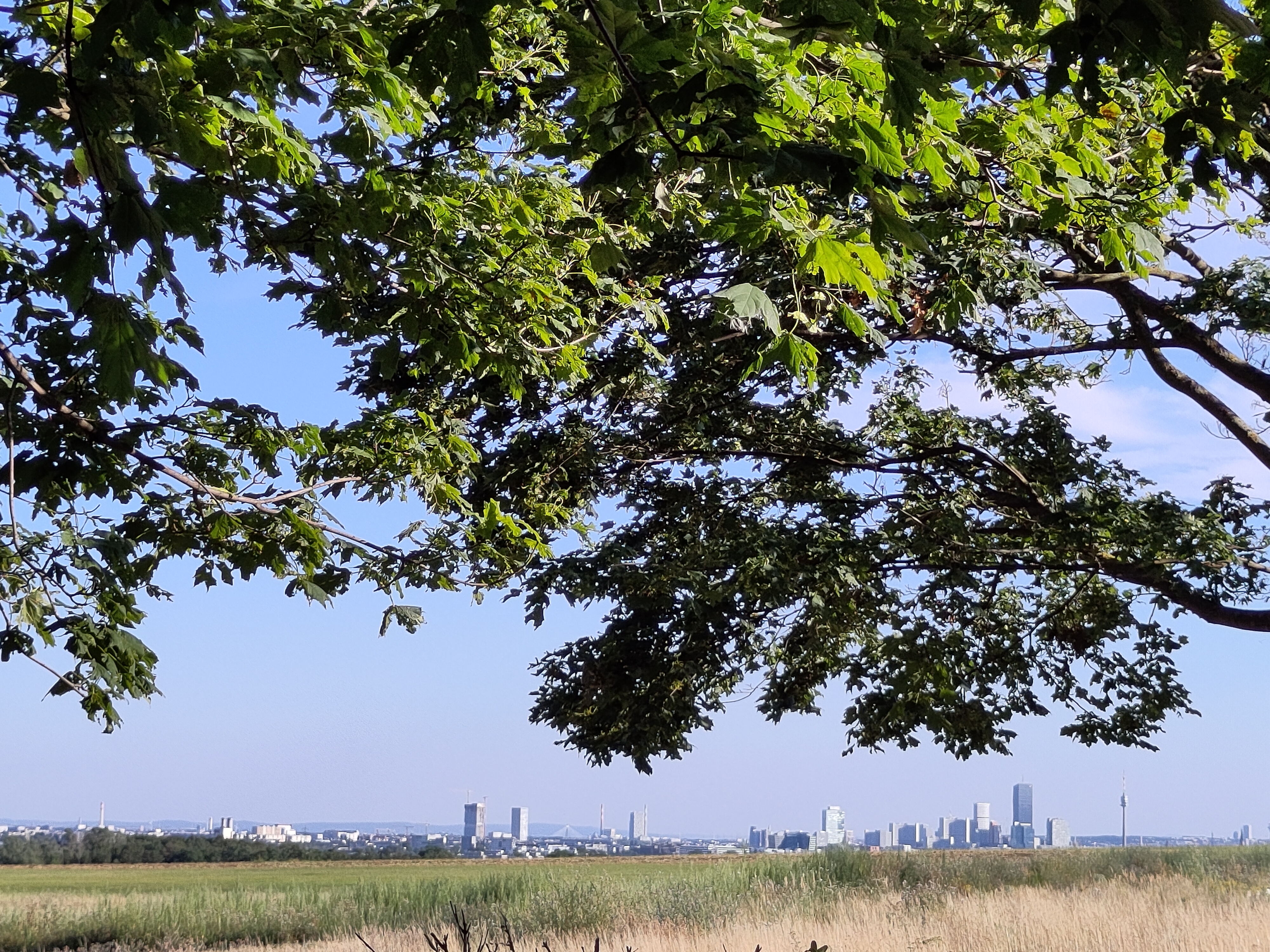 Afterwork Gravel mit Wien Blick. Die Staub-Edition.