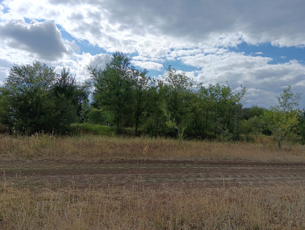 От Неизвестная дорога до Неизвестная дорога, Сосновка